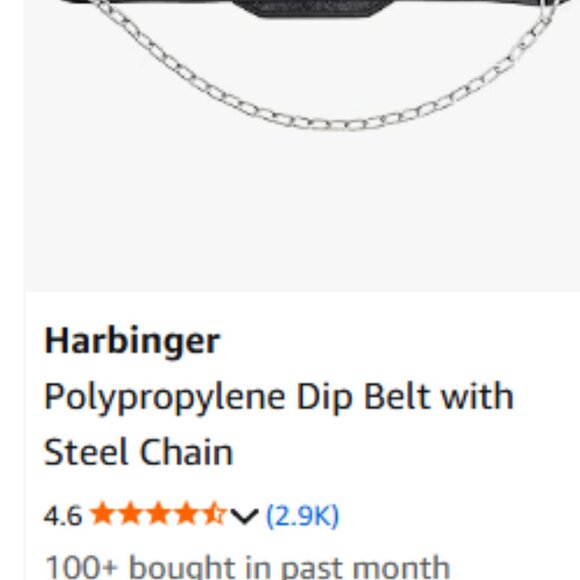 Harbinger Dip belt with Steel chain - Picture 2 of 2
